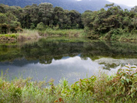 Laguna El Blanquito en LaraTurismo